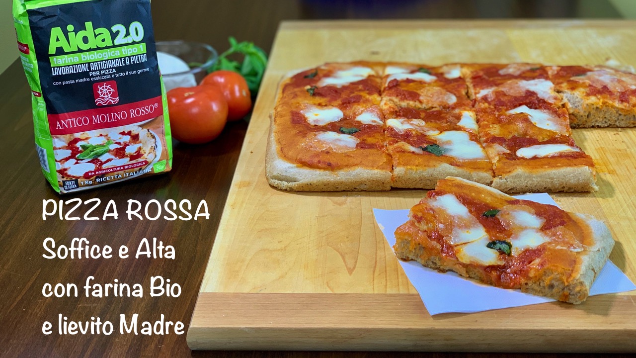 Lievito madre essiccato per pane, pizza e panettone - Fatto in italia –  Chenabura